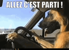 cest-parti-parti.gif