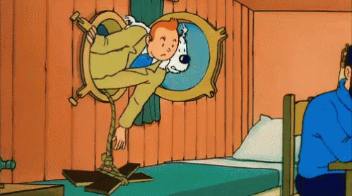 tintin1.gif