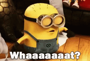 WhatGIF.gif