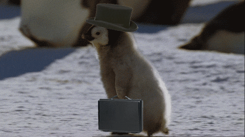 giphy (1).gif