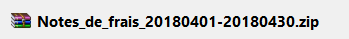 Content of the downloaded ZIP file (directories by expense report)