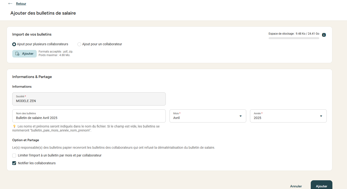 Payslip import window