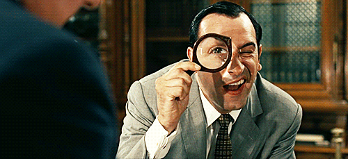 loupe-oss-touriste.gif