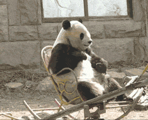 photofunky.gif