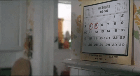giphy__1_.gif