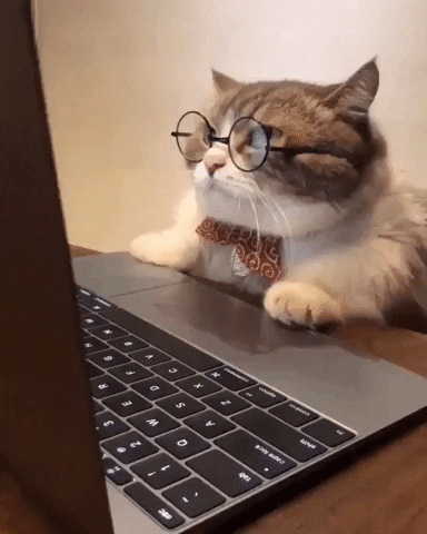 astuces-de-freelance.gif