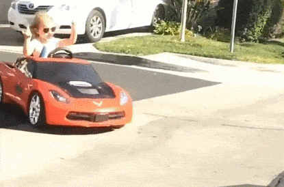 funny-car-69.gif